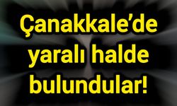 Çanakkale’de yaralı halde bulundular!