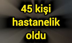 45 kişi hastanelik oldu