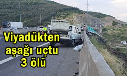 Viyadükten aşağı uçtu 3 ölü (Video)