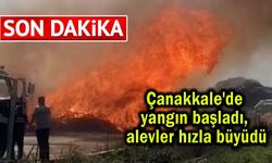 Çanakkale'de yangın başladı, alevler hızla büyüdü