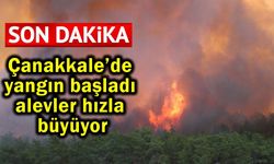 Çanakkale’de yangın başladı, alevler hızla büyüyor