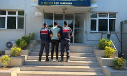 Çanakkale'de yangınla ilgili 1 kişi gözaltına alındı