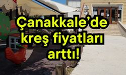 Çanakkale’de kreş fiyatları arttı!