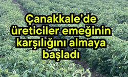 Çanakkale’de üreticiler emeğinin karşılığını almaya başladı