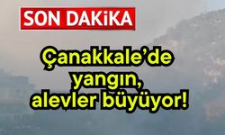 Çanakkale’de yangın, alevler büyüyor!