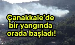 Çanakkale’de bir yangında orada başladı!