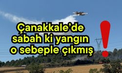 Çanakkale’de sabah ki yangın o sebeple çıkmış! (Video)