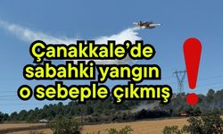 Çanakkale’de sabahki yangın o sebeple çıkmış! (Video)