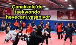 Çanakkale'de taekwondo heyecanı yaşanıyor