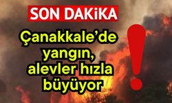 Çanakkale’de yangın, alevler hızla büyüyor!