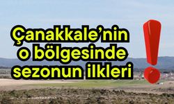 Çanakkale’nin o bölgesinde sezonun ilkleri!