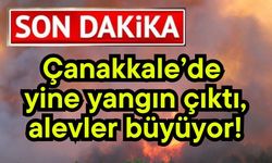Çanakkale’de yine yangın çıktı, alevler büyüyor!