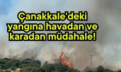 Çanakkale'deki yangına havadan ve karadan müdahale!