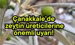 Çanakkale’de zeytin üreticilerine önemli uyarı!