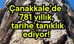 Çanakkale’de 781 yıllık, tarihe tanıklık ediyor!