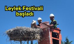 Leylek Festivali başladı (Video)