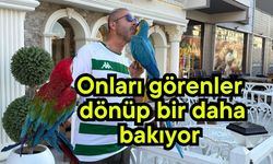 Onları görenler dönüp bir daha bakıyor (Video)