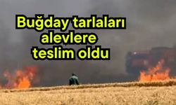 Buğday tarlaları alevlere teslim oldu (Video)