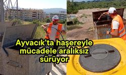Ayvacık’ta haşereyle mücadele aralıksız sürüyor