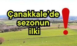 Çanakkale’de sezonun ilki!