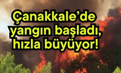 Çanakkale’de yangın başladı, hızla büyüyor! (Video)