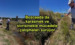 Bozcaada’da karasinek ve sivrisinekle mücadele çalışmaları sürüyor