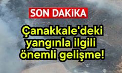 Çanakkale'deki yangınla ilgili önemli gelişme!