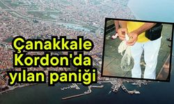 Çanakkale Kordon'da yılan paniği