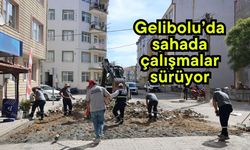 Gelibolu’da sahada çalışmalar sürüyor