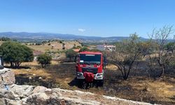 Çanakkale'de evin bahçesinde çıkan yangın korkuttu!