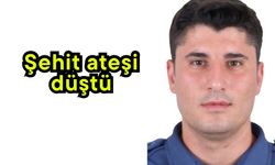 Şehit ateşi düştü