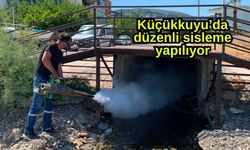 Küçükkuyu’da düzenli sisleme yapılıyor