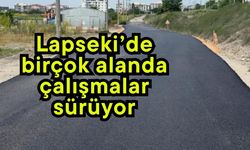 Lapseki’de birçok alanda çalışmalar sürüyor