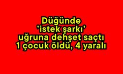 Düğünde ’istek şarkı’ uğruna dehşet saçtı: 1 çocuk öldü, 4 yaralı