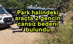 Park halindeki araçta 2 gencin cansız bedeni bulundu