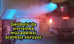 Gelibolu’da sivrisinek mücadelesi aralıksız sürüyor
