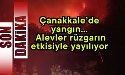 Çanakkale’de yangın… Alevler rüzgarın etkisiyle yayılıyor