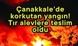 Çanakkale’de korkutan yangın! Tır alevlere teslim oldu