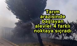 Tarım arazisinde başlayan alevler 4 farklı noktaya sıçradı