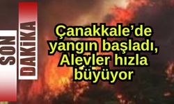 Çanakkale’de yangın başladı, Alevler hızla büyüyor