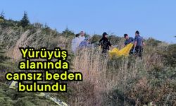 Yürüyüş alanında cansız beden bulundu (Video)