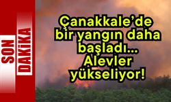 Çanakkale’de bir yangın daha başladı… Alevler yükseliyor!