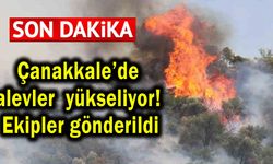 Çanakkale’de alevler yükseliyor! Ekipler gönderildi