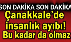 Çanakkale’de insanlık ayıbı! Bu kadar da olmaz