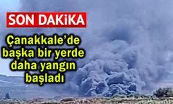 Çanakkale’de başka  bir yerde daha yangın başladı