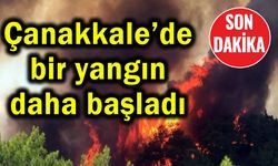 Çanakkale’de bir yangın daha başladı