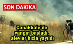 Çanakkale’de yangın başladı, alevler rüzgarla yayıldı