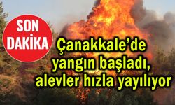 Çanakkale’de yangın başladı, alevler hızla yayılıyor