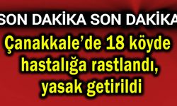 Çanakkale’de 18 köy hastalığa rastlandı, yasak getirildi