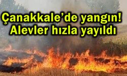 Çanakkale’de yangın! Alevler hızla yayıldı (Video)
